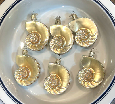 6 Old World Christmas Nautilus Sea Snail Shell Ornament White & Gold Iridescent