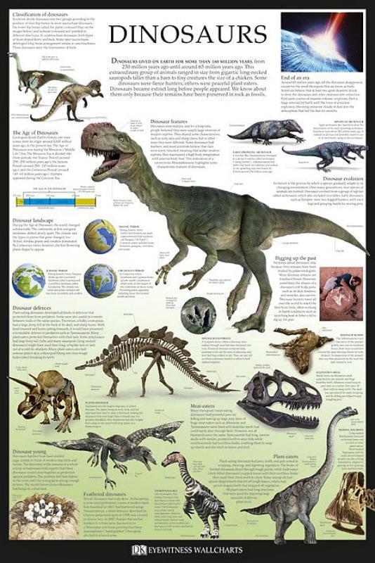 Dinosaurs : Dorling Kindersley  Maxi Poster 61 x 91.5 cm new and sealed