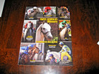 May 26, 2012 -Autographed the Blood-Horse HOF Jockey Mike Smith Preakness Stakes — photo 3
