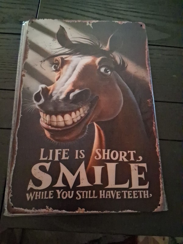 Life Is Short 8x12 Repoduction Tin Sign