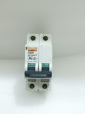 MERLIN GERIN Multi9 C60N 2A-Typ C, Kat-Nr.24443