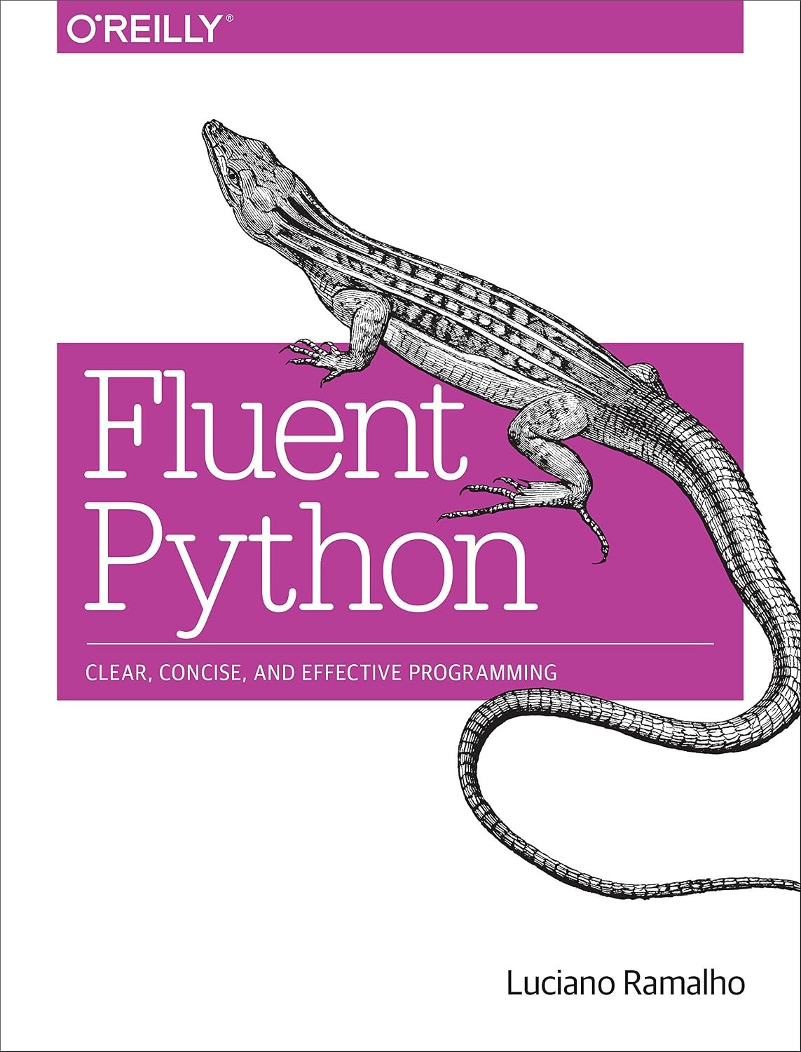 Fluent Python: Clear, Concise, and Effective Programming | eBay