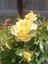 oursweetfinds25