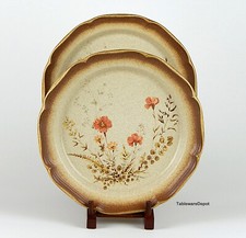 Mikasa JARDINIERE: Set(s) of 2 Dinner Plates,...