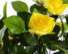 Bild 24 von 30