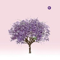 Eels - Tomorrow Morning - Cd Album - F123Z