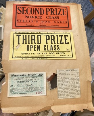 February 1911 WESTMINSTER KENNEL CLUB Dog Show Exhibitor Items! TICKET, 2 PRIZES