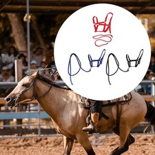 Cavezza per cavalli con redini, articoli per equitazione, finimenti per cavalli