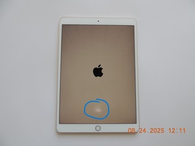 Apple iPad Pro (10.5-inch) A1701 256 GB, Wi-Fi, 10.5 in - Silver