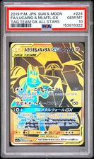 Lucario & Melmetal GX 224/173 Sm12a: Tag Team GX: Tag All Stars