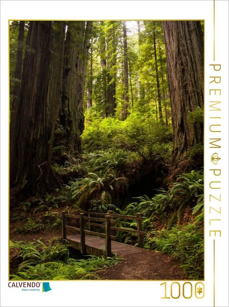 Calvendo Puzzle Redwood National And States Park | 1000 Pieces, Finished Size 25-image