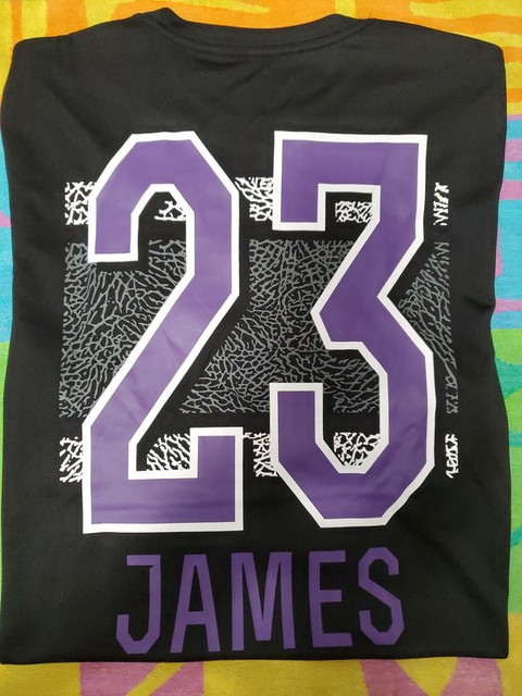 Lebron James Los Angeles Lakers \