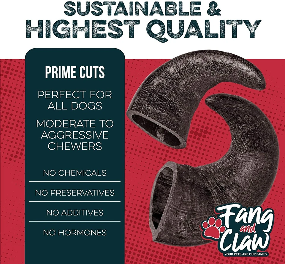 Fang and Claw, Water Buffalo Horn Dog Chew 4 Pack All Natural Long Lasting  - Image 4 of 4
