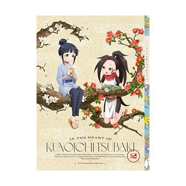 IN THE HEART OF KUNOICHI TSUBAKI VOLUME.2 limited edition (DVD1CCD1) Official