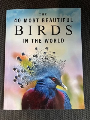 The 40 Most Beautiful Birds in the ..., Blue Clover Boo