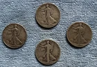 Walking Liberty Lot
