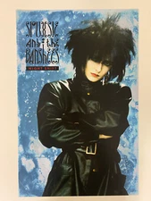 Siouxsie & The Banshees Night Shift 11x17 Poster Print