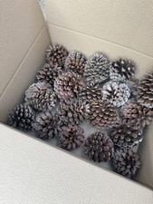 Natural Maritime Pine Cones Dry Firelighters for Fireplace, BBQ, Fire Pit 11.87 per lighter