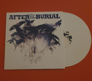 After the Burial Vinyl | eBay