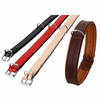 Karlie Rondo Halsband Unterlegt - Schwarz - 27Mm/62Cm