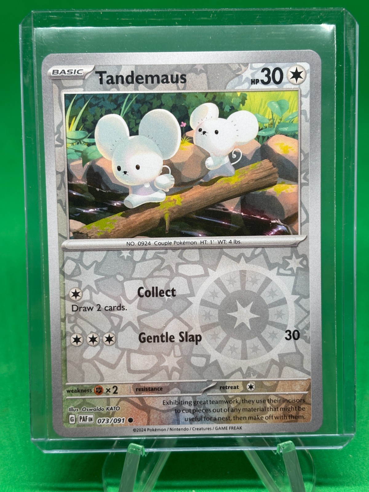 Tandemaus - 73/91 - Paldean Fates -  Reverse Holo Common -  NM Pokémon