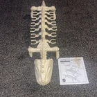 MOTU Vintage He-Man 1984 Battle Bones Action Figure Carrier With Instructions!