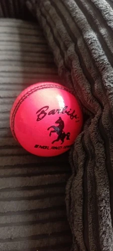 Pink 6 Pack Cricket Balls Test Crown Adult