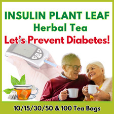 Insulin Plant Leaves Tea Bags Herbal Costus Igneus Powder Diabetic Organic Pure