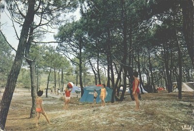 Alte französische Postkarte Camping unter Kiefern Landes Frankreich 60er Jahre Bord de Mer
