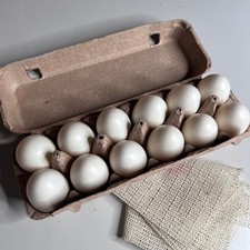 Educational Number Matching Egg Set 12 Piece Montessori Counting Toy with Carton
