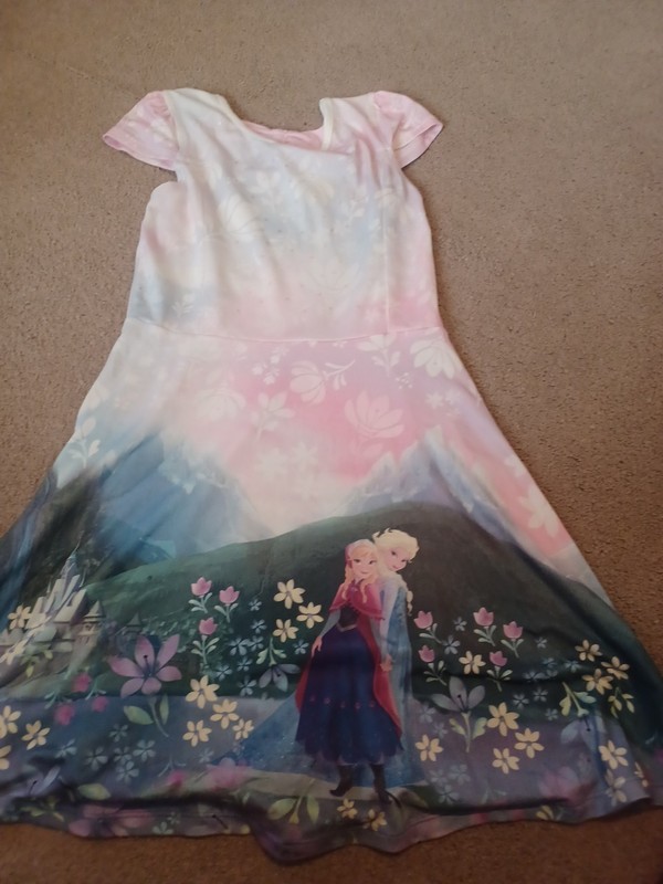 Disney Jumping Beans Frozen Dress Size 7 Pastels Elsa Anna Flowers Sparkles Bow