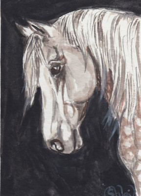 ACEO original Watercolor Art Card HORSE beautiful rose gray Welsh Pony Mare