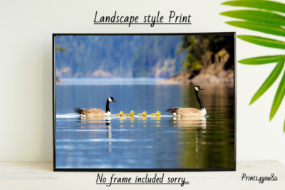 CANADA GOOSE FUN A4 DRUCK BILD POSTER WANDBILD WOHNDEKO UNGERAHMT GESCHENK NEU