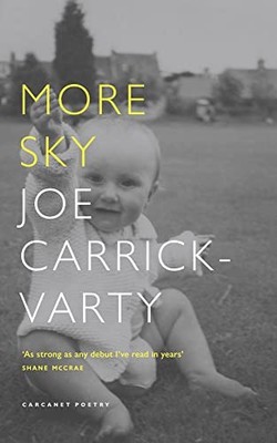 			More Sky by Carrick-Varty  New 9781800173019 Fast Free Shipping..		