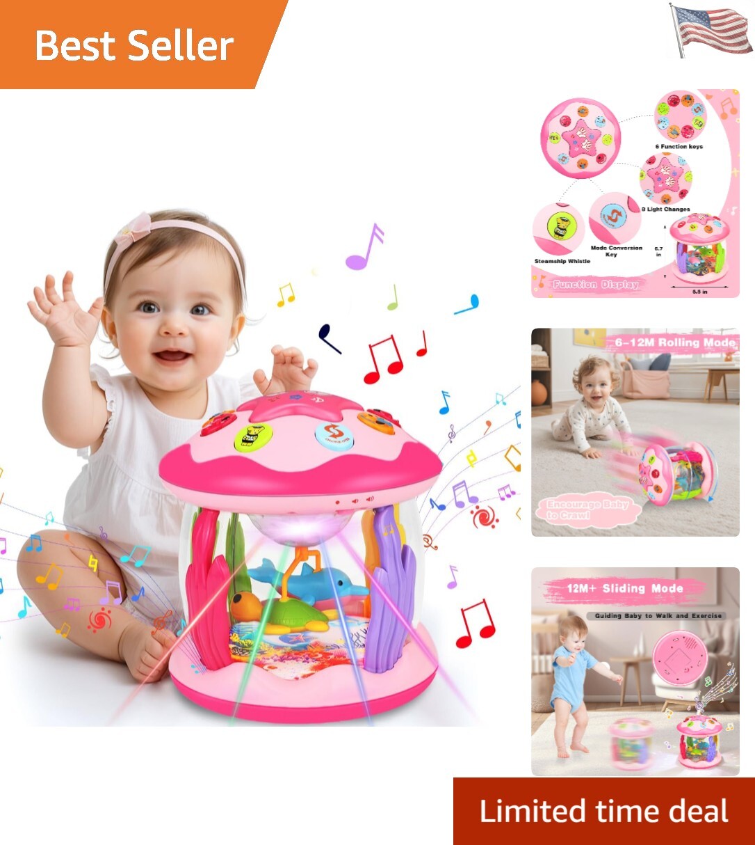 BPA-Free Musical Baby Toy with Rolling Dolphin and Turtle for Crawlers 6-18 Months