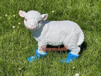 Lamm LäMmchen Figur Statue Gartenfigur Gummistiefel Stiefel Blau Garten Deko Neu