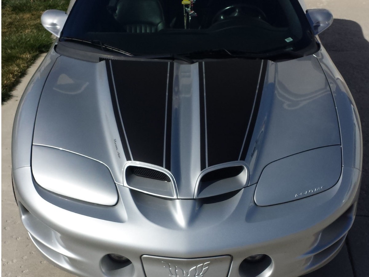 98-02 Pontiac Trans Am Ws6 Dual Stripes Hood Roof Rear