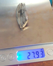 27 Gram Ytterbium metal Specimen Free Shipping Ingot 99.9% Spike