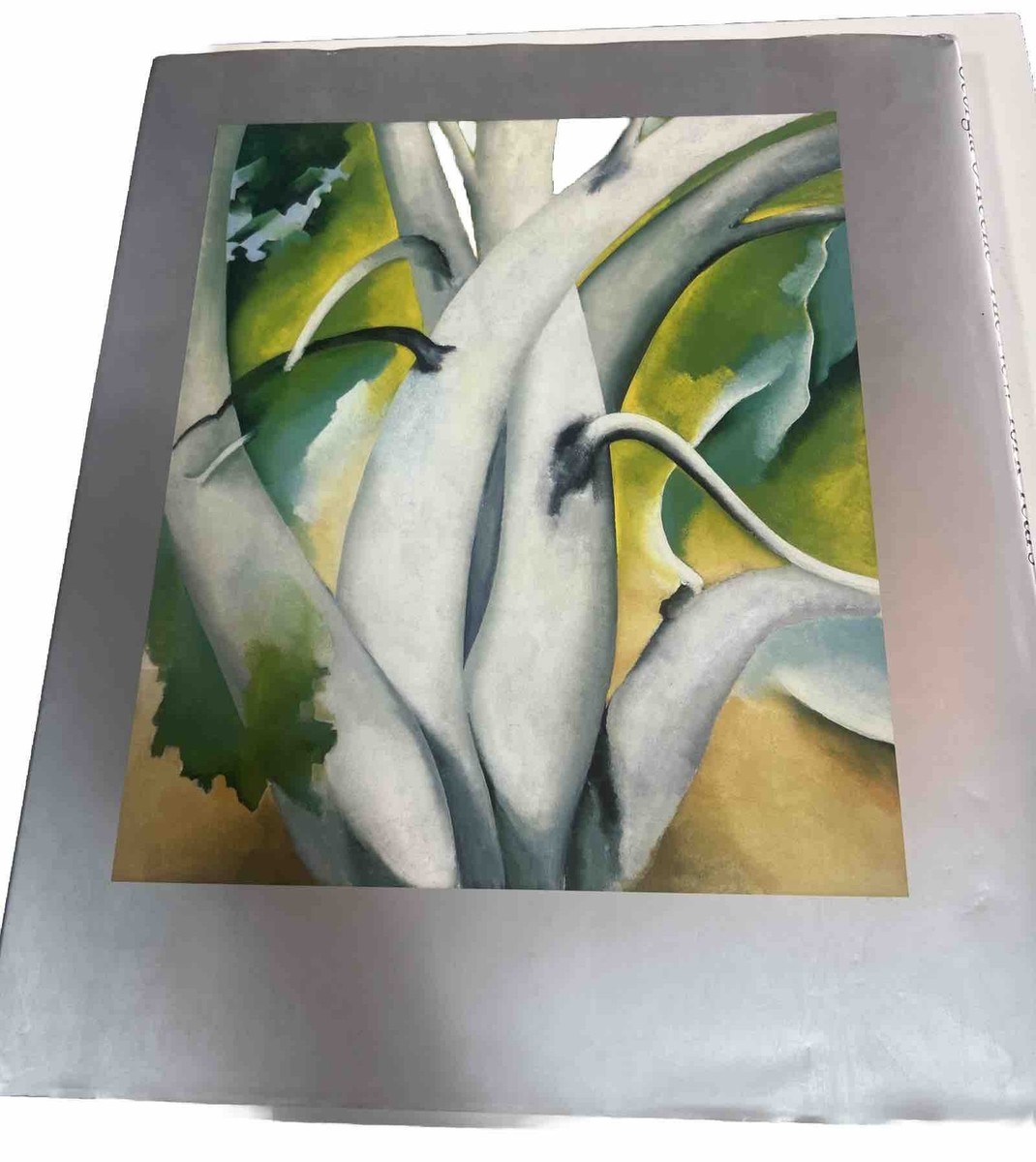 GEORGIA O'KEEFFE THE NEW YORK YEARS BRY & CALLAWAY EDITORS 1991