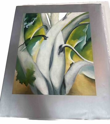 GEORGIA O'KEEFFE THE NEW YORK YEARS BRY & CALLAWAY EDITORS 1991