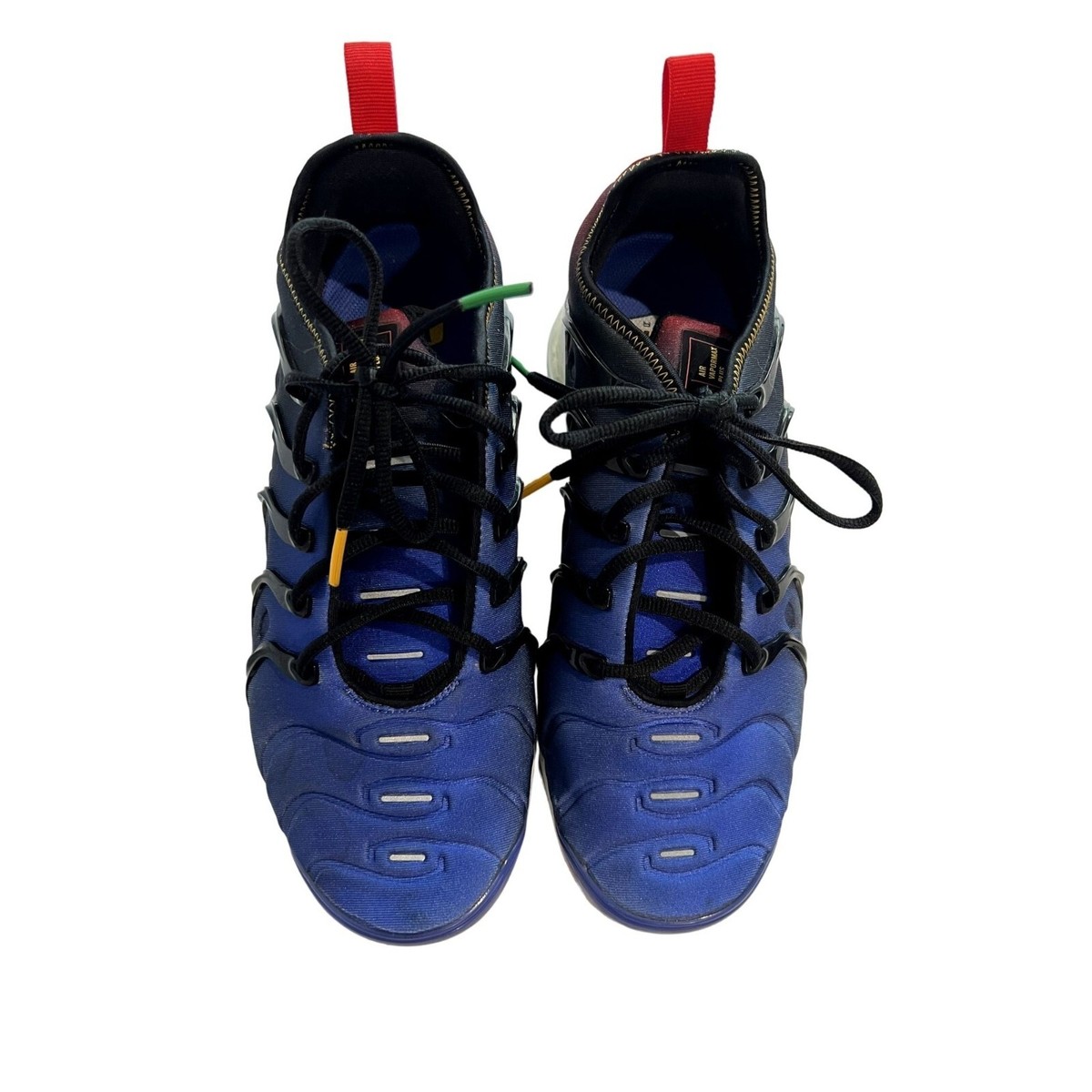 Nike Air VaporMax Plus Sneakers in Live Together Play