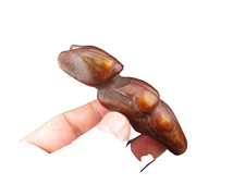 Chinese old  jade,Hongshan culture,Collectibles,rare Apollo,pendant M(709)