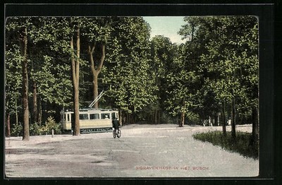 ´s Gravenhage, In het Bosch, Strassenbahn, Ansichtskarte 