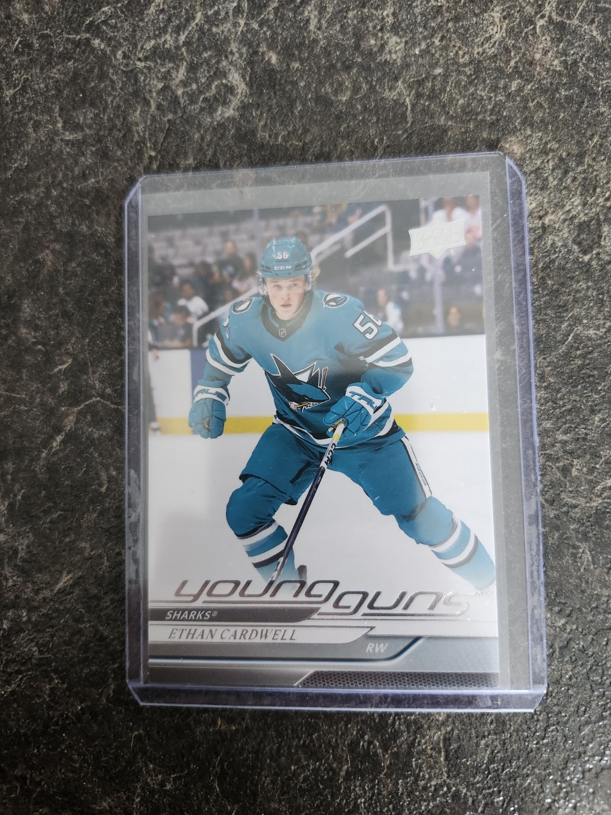 2024-25 Upper Deck Series 2 Young Guns Ethan Cardwell YG RC Card# 459