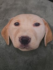 Dog Picture Pillow