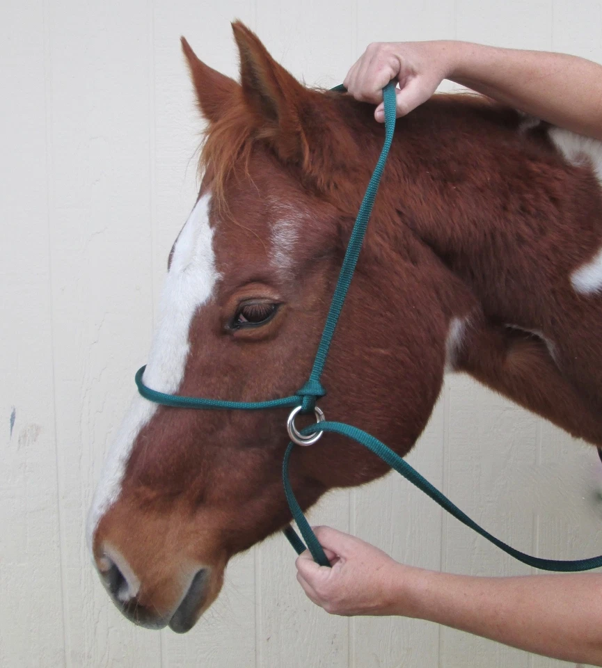 Halter All SMALL Miniature Donkey Mule Adjustable Slip Horse Lead PATTERN USA - Image 4 of 4
