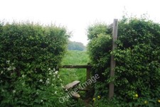 Photo 6x4 Footpath off Treeman Rd Horsted Keynes The path leads to Sandpi c2010