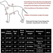 Juego De Collar Y Correa Para Perros, Collar De Algodón Duradero Con Cierre De Metal Y