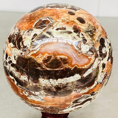 Natural Money agate Crystal Sphere Ball healing 1980G