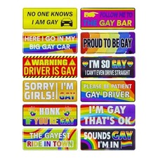 12PCS Gay Pride Funny Car Magnets, 7.87" 3.14", Multicolor Colorful